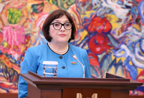 Milli Məclisin sədri: Ötən 30 ildə Xorvatiya ilə əlaqələr strateji tərəfdaşlıq səviyyəsinə yüksəlib